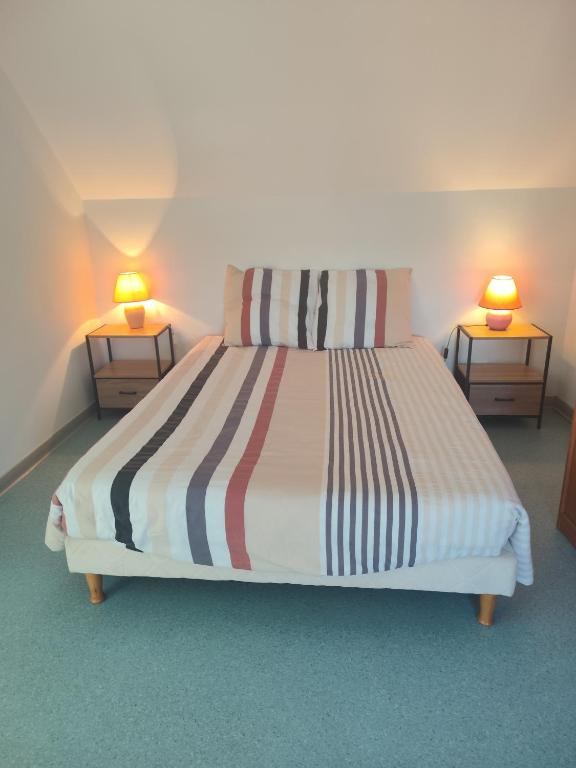 a bedroom with a bed with two lamps on two tables at Le Nid Douillet in Saint-Berthevin-sur-Vicoin