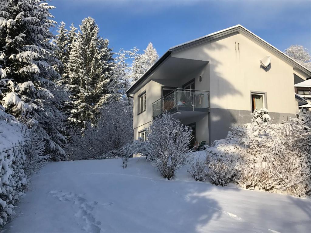 a house in the snow with trees at Ferienwohnung Marion in Hermagor