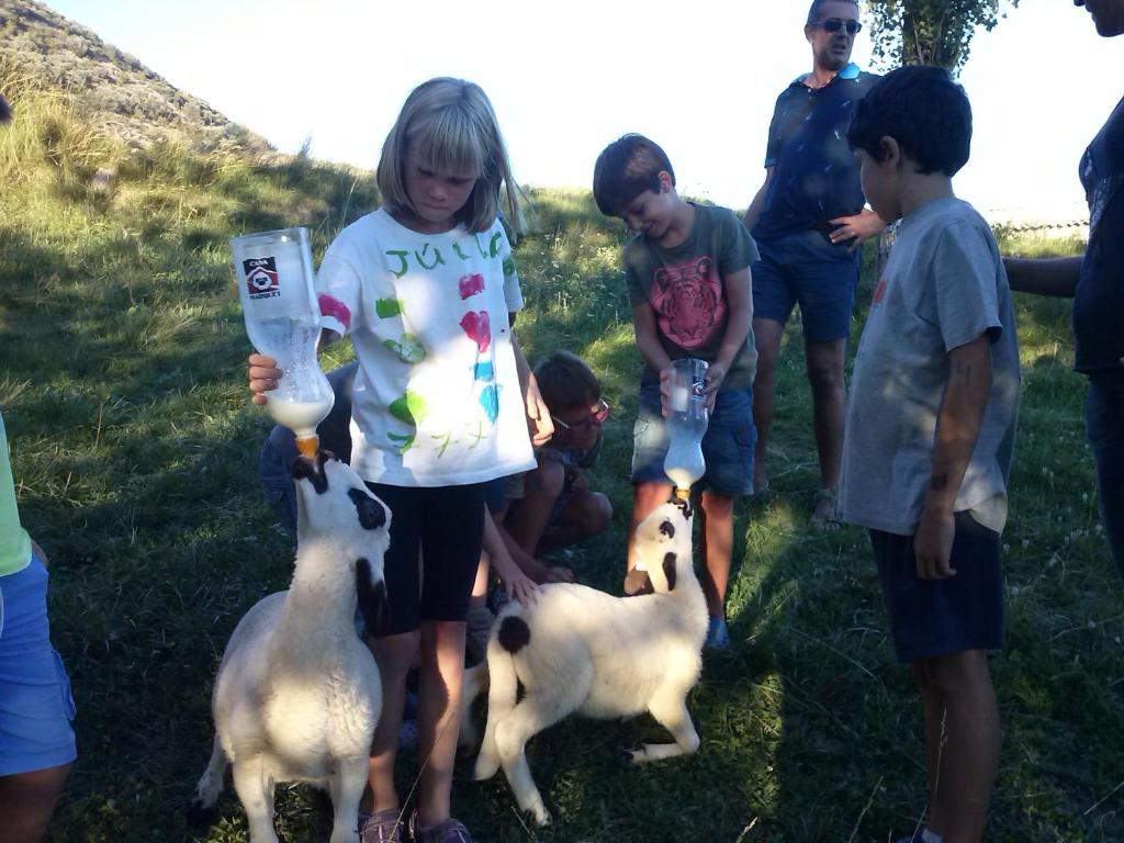 un grupo de niños con cabras en la hierba en Casa Marquet, en Campo