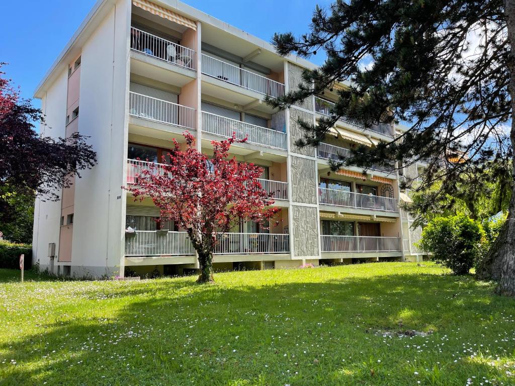 Studio proche centre Annecy