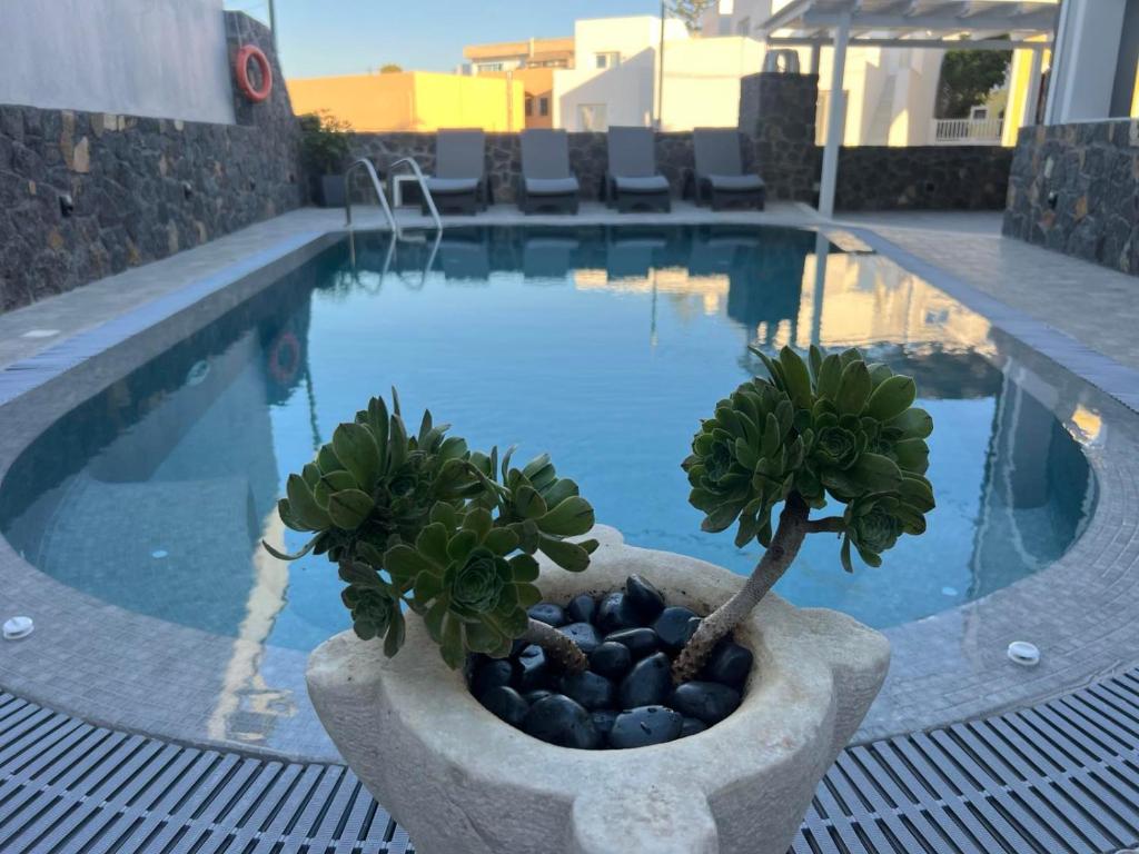 a potted plant sitting next to a swimming pool at Kelenis Apartments in Karterados