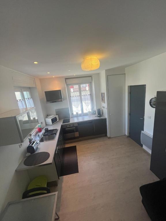 a kitchen and living room with a sink and a stove at Le Quai Confort T2 - in Ax-les-Thermes