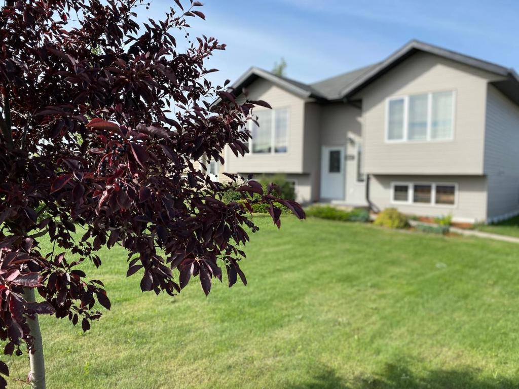 a house with a tree in front of a yard at Executive 5 bdrm 3 ba House in Bonnyville