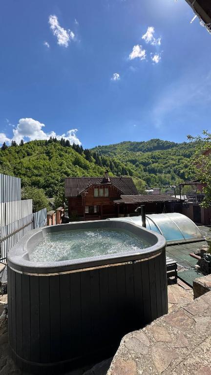 a large pool of water in a yard with a house at Pid skeleju in Rakhiv