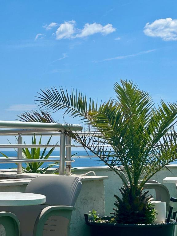 a palm tree sitting next to a table and chairs at Apartments Mitende in Budva