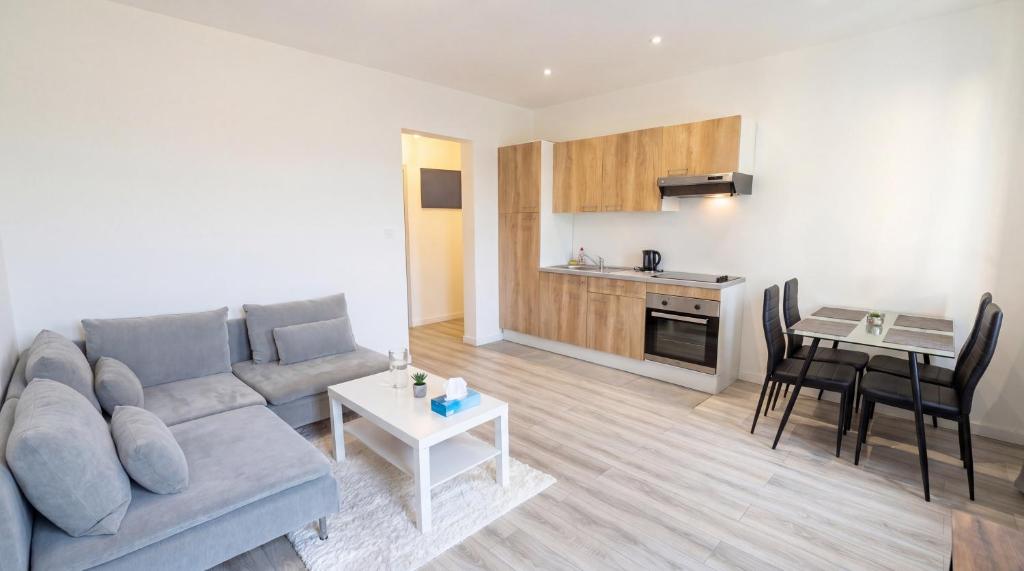 Grand Appartement 2 Chambres Centre Mulhouse – photo 14