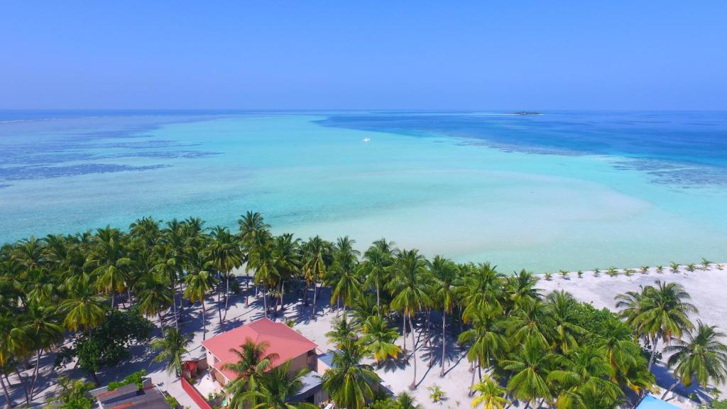 an aerial view of a beach with palm trees and the ocean at Riveli Retreat Mathiveri in Mathiveri