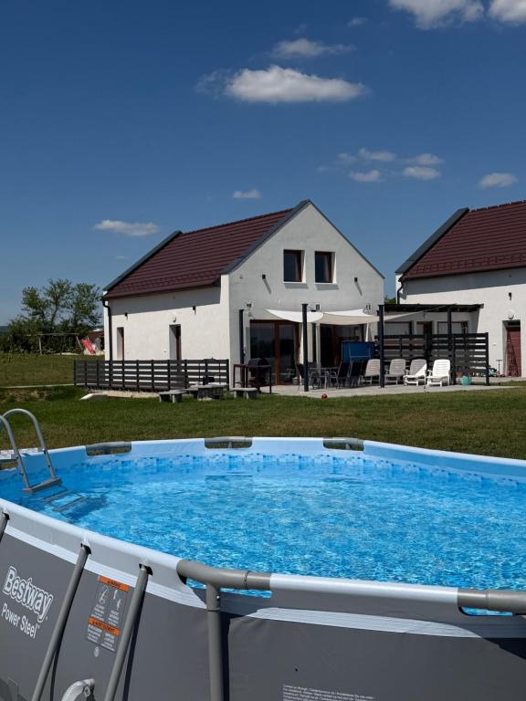 a large swimming pool in front of a house at TWIN Garden in Zánka