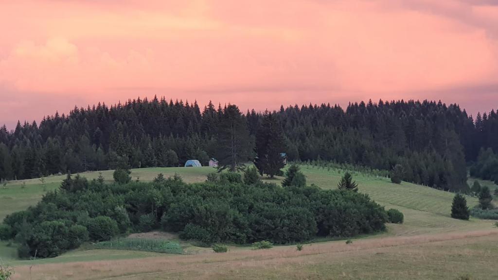 an open field with trees and a pink sky at Ivanovo Polje Chalet in Pljevlja