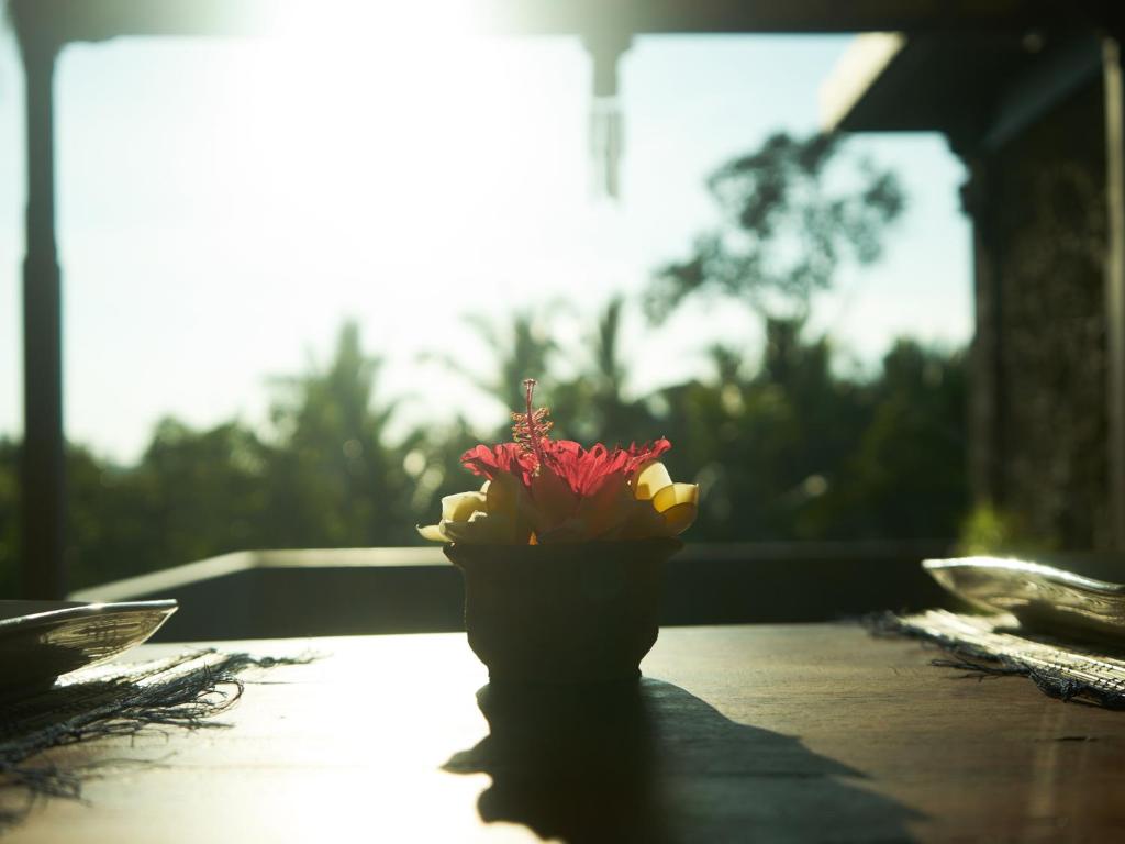 Fotografie z fotogalerie ubytování Eden House Ubud v Ubudu