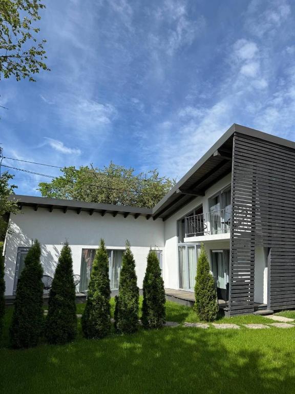 a modern house with a black and white at Cottage RoKSa 2 з басейном in Slavske
