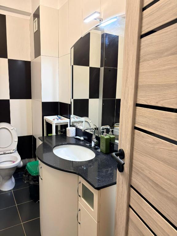 a bathroom with a sink and a toilet at Apatement de luxe in Roşu