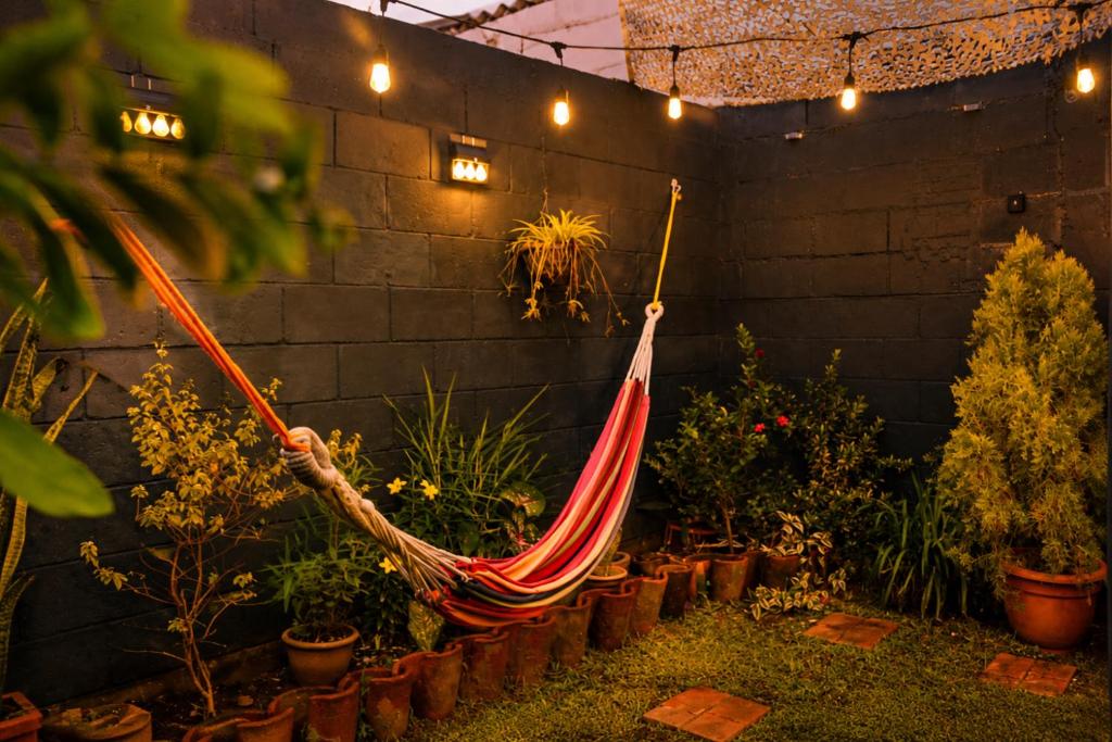 a hammock in a garden with potted plants at Las Palmeritas in Ahuachapán