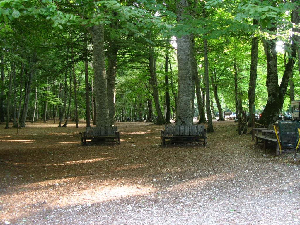 Příroda nedaleko bed and breakfast