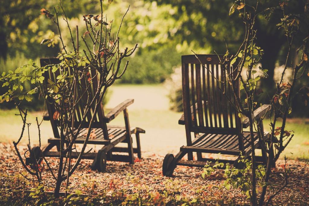 two wooden chairs sitting in a park next to trees at Le Pavillon Vert - B&B in Vedène