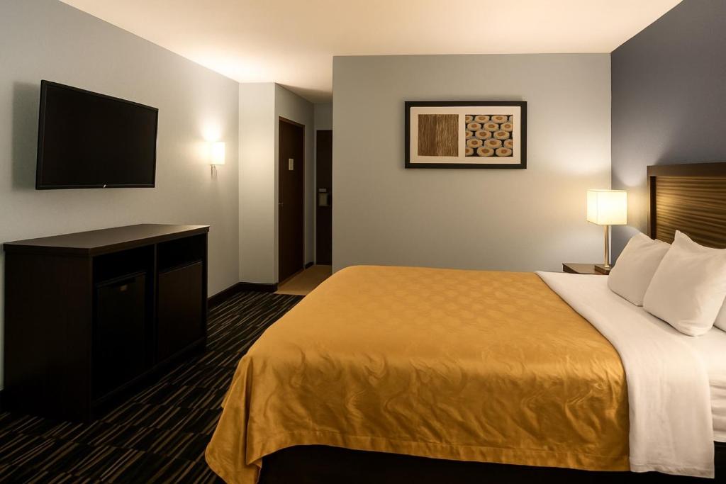Quality Inn Richmond North - Camera King - Non Fumatori