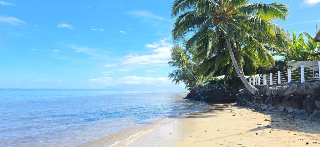 Villa Azura - photo 7 - Tahiti, Polynésie