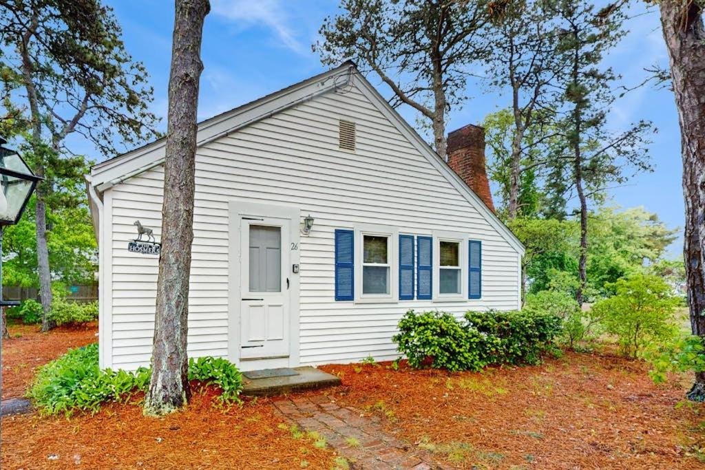 a white house with blue windows and a tree at Uncle Rolfs Cozy Cottage in Dennis Port