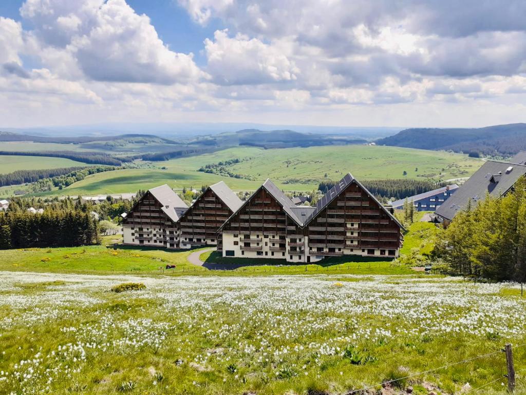 a large building on a hill with a field of flowers at Le Nid du Sancy - Les Matins du Sancy - Super-Besse in Super Besse