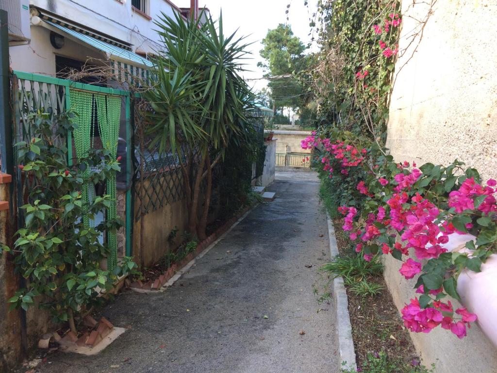 an alley with pink flowers and a fence at Numero 19 in Isola delle Femmine