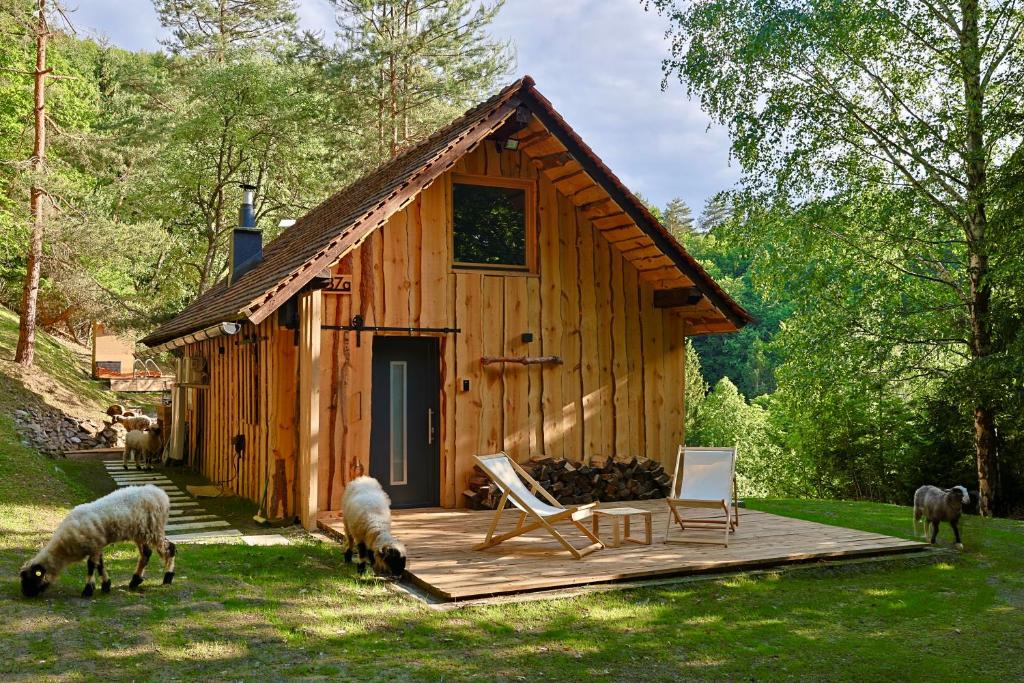 a cabin with two sheep grazing in front of it at The Nook - Sauna, Pool, Ice Bath in Celje