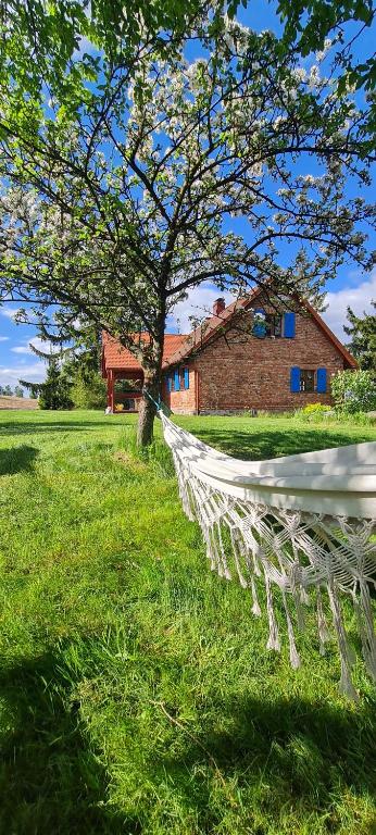 a hammock in a field in front of a house at Wyspa Świerków in Lipusz