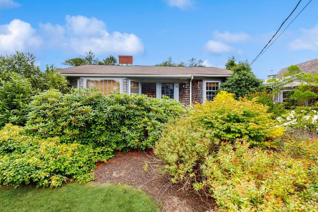 a house with a bunch of bushes in front of it at Cozy Corner in Edgartown