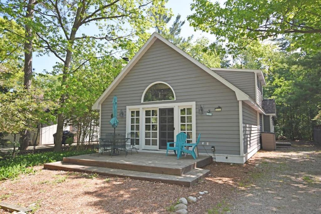 a tiny house with a porch and two blue chairs at Dancin' Bear in Glen Arbor