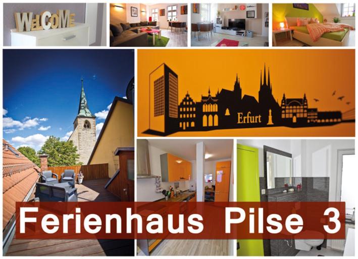 uma colagem de imagens de diferentes cidades e edifícios em Ferienhaus Pilse 3 em Erfurt