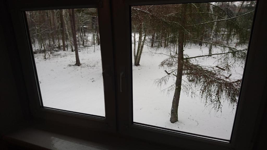 Gosciniec Lizawka - Resim 34