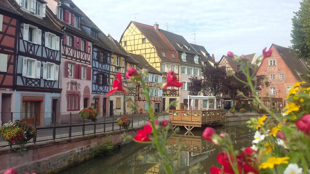 Commanderie Cottage Colmar – photo 45