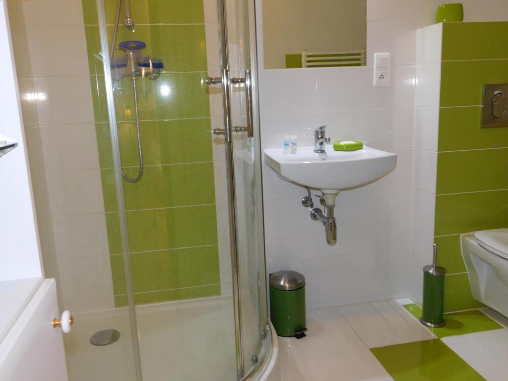 a bathroom with a shower and a sink at Agroturystyka pod Czarną Sosną in Biały Ług