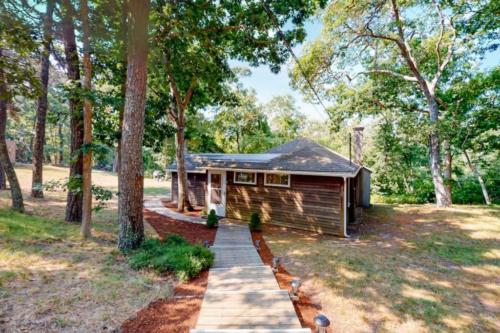 a small cabin in the woods with a pathway leading to it at Sea House in Chatham
