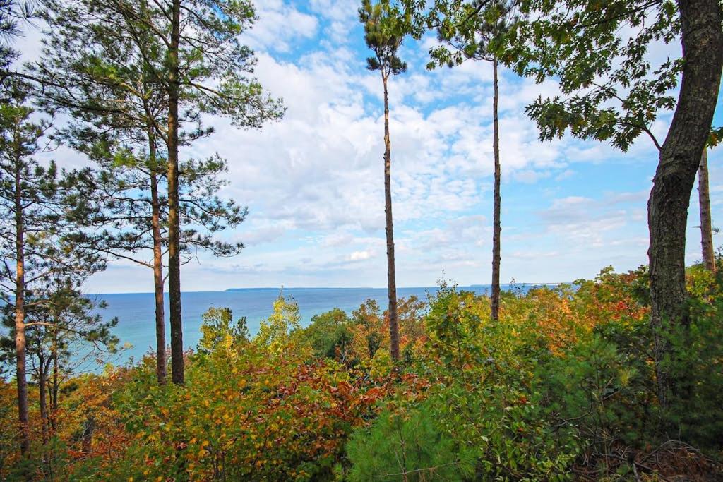 a group of trees on a hill with the ocean in the background at Hawks Nest 58 in Glen Arbor