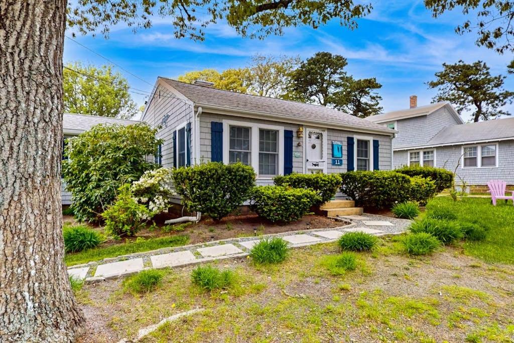 a blue house with a tree in the yard at Cape Beach Bungalow in Dennis Port