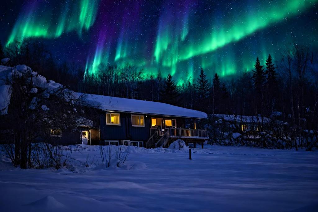 a cabin with the aurora in the sky at Whole House Aurora View with Hot tub, Sauna and AC in Fairbanks