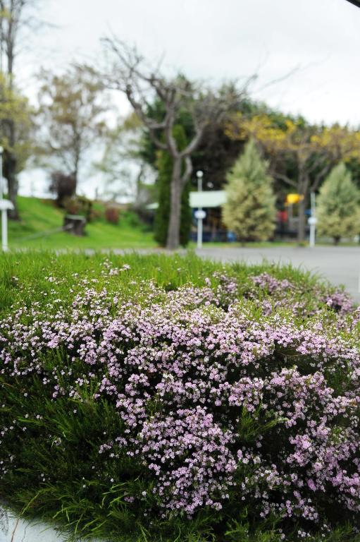 
Standard Two-Bedroom Apartment (West)
