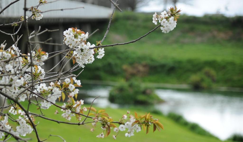 Blenheim Bridges Holiday Park - Resim 33