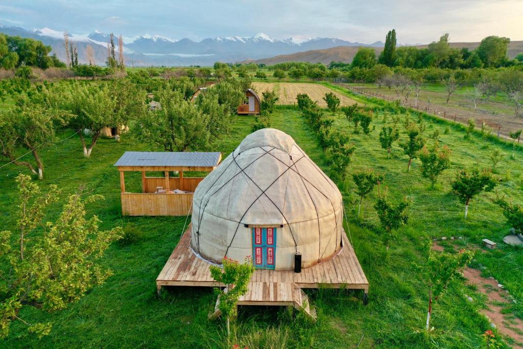 a dome shaped house in a field with trees at Bosogo Yurt camp in Bokonbayevo