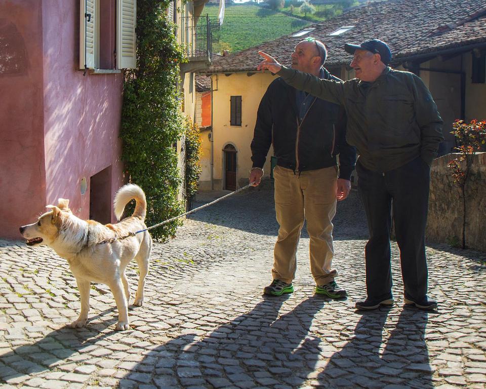 Domácí mazlíčci ubytovaní s hosty v ubytování Dimora I Manichei