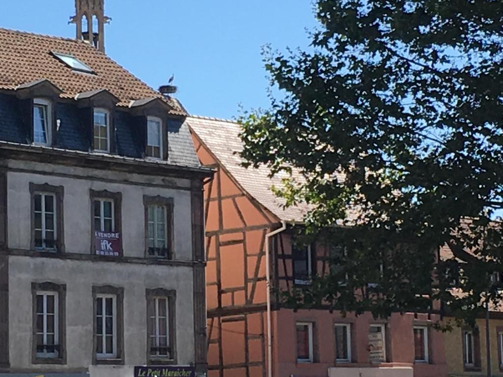 Les Hauts de Colmar – photo 19