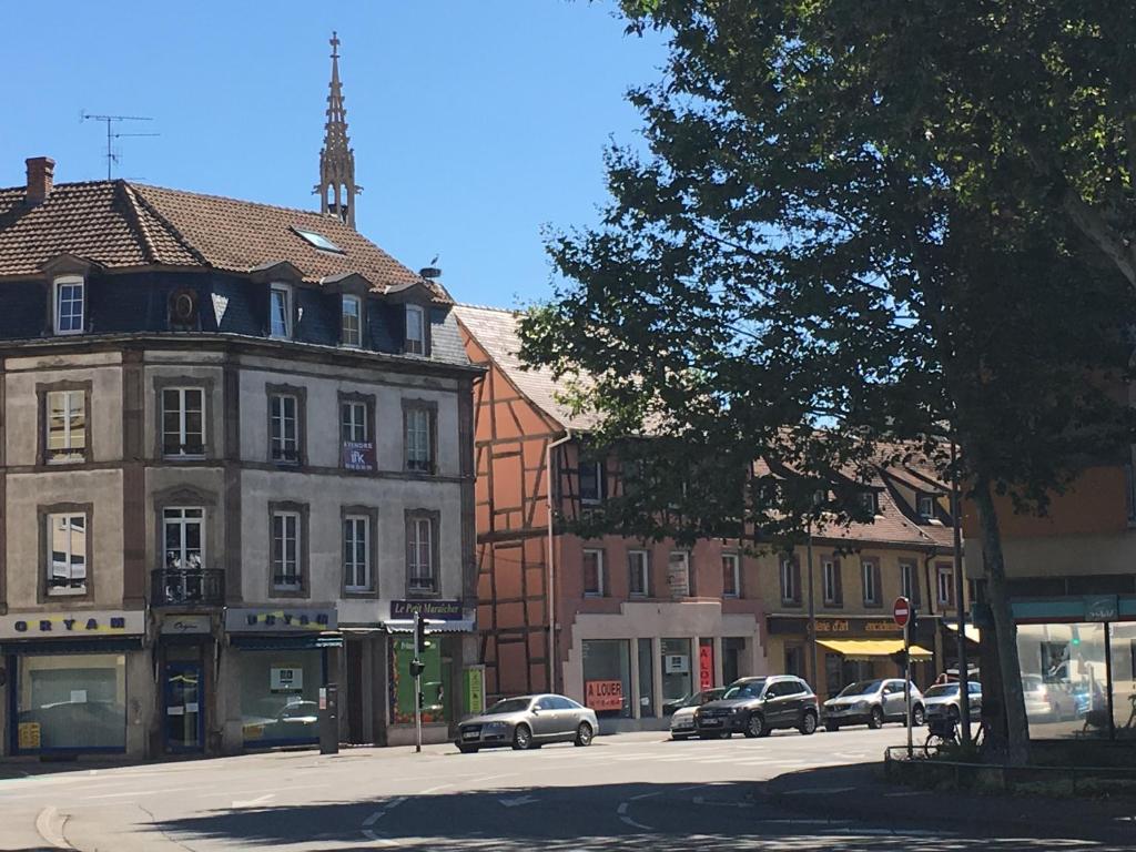 Les Hauts de Colmar – photo 18