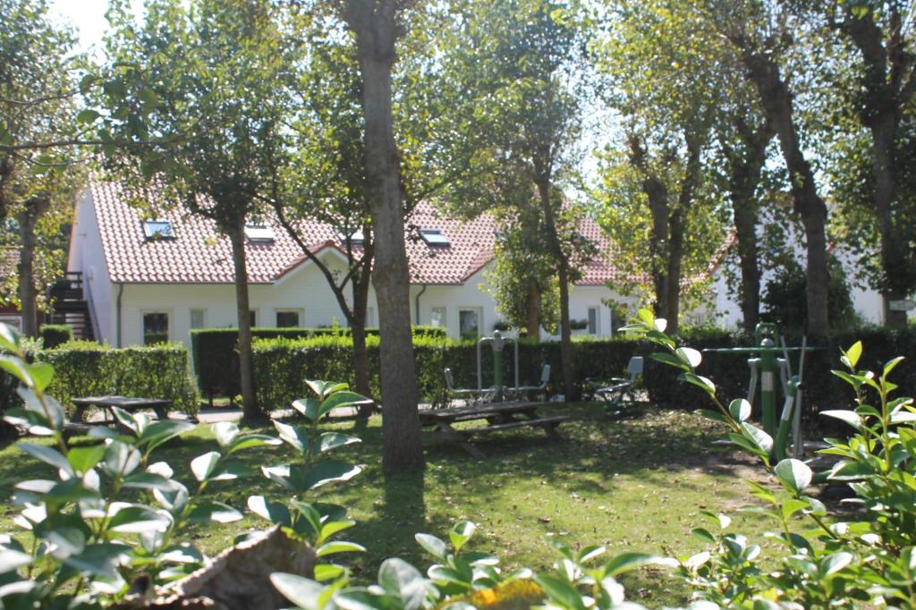 Zahrada ubytování Reingam-Park