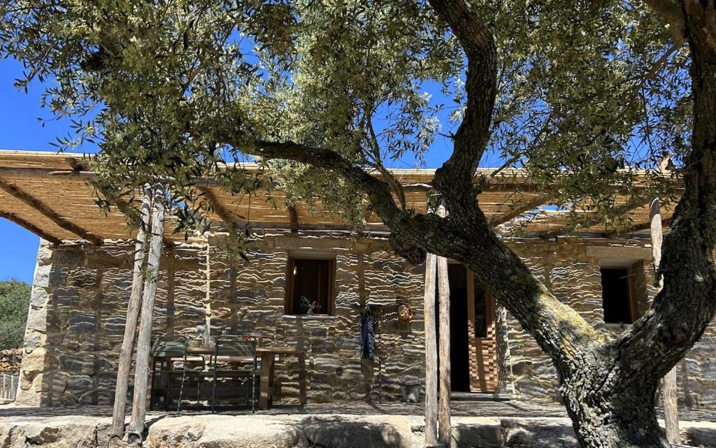 a stone house with trees in front of it at Stazzu Pittorra per 4 persone in Barrabisa