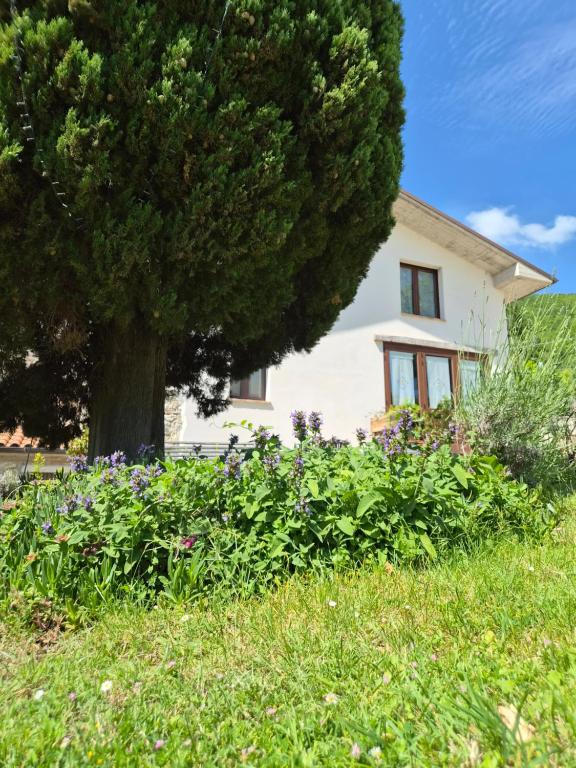 a house with a tree and flowers in the grass at Agriturismo Vallonga in Poggio San Vicino