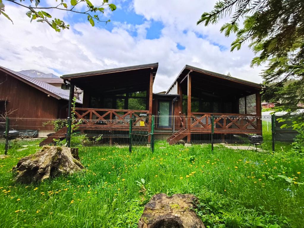 eine Hütte auf einem Feld mit einem grasbewachsenen Hof in der Unterkunft Chalet Amik in Buşteni