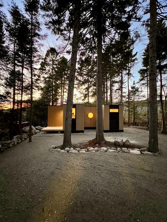 a house in the middle of a forest with trees at The Lake Villa in Ingramport