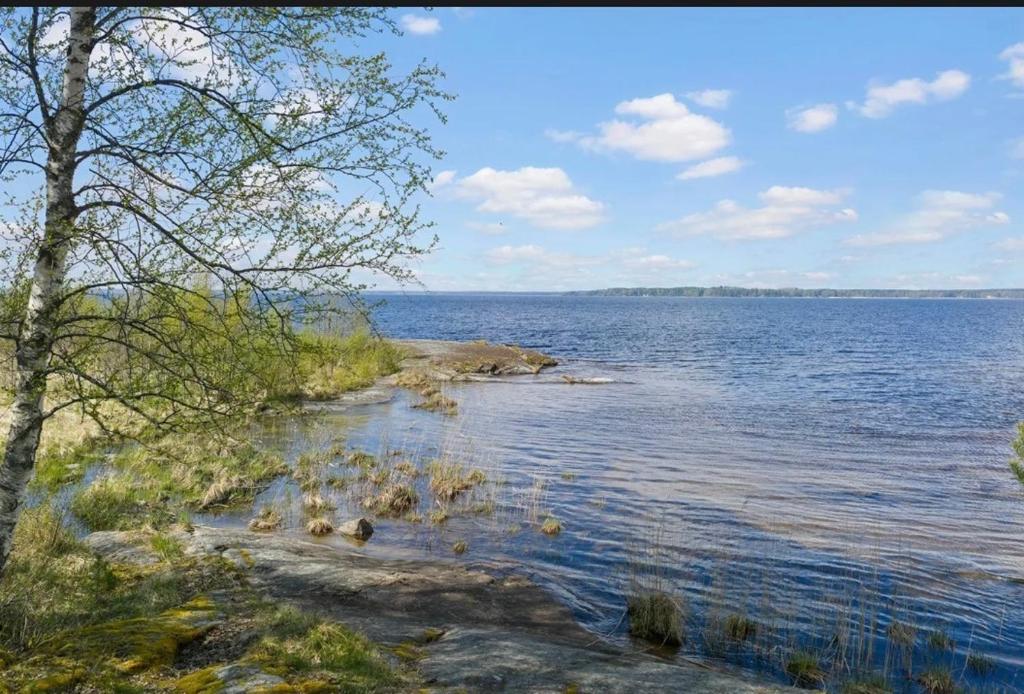 a view of a body of water with trees at Tiny house with lake view in Hammarö