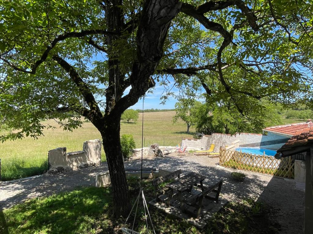 a tree in a yard with a bench under it at Le Fenil in Floirac