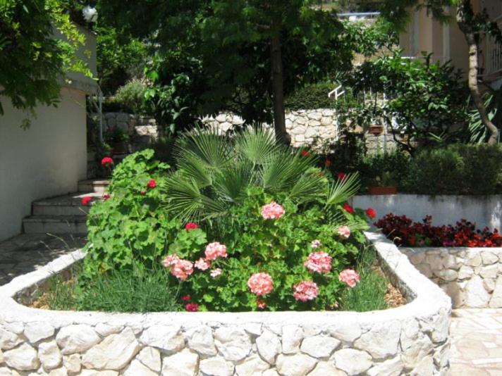 Zahrada ubytování Villa Calypso